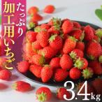 いちご 加工用いちご 3.4kg
