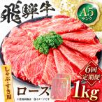 飛騨牛 A5等級 しゃぶしゃぶ すきやき用
