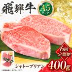 飛騨牛 A5等級 シャトーブリアンステーキ 2枚