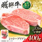 飛騨牛 A5等級 シャトーブリアンステーキ 2枚