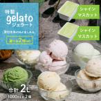 ジェラート 1L×2個