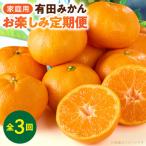 有田みかん お楽しみ3回定期便 _YAS60-T01