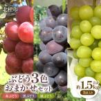 ぶどう3色おまかせセット 約1.5kg