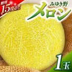 みゆき野メロン1玉 メロン みゆき野メロン