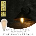 LED電球 エジソン電球 電球 E26口金