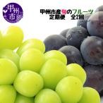 ぶどう 巨峰 定期便 産厳選旬のフルーツ定期便全2回