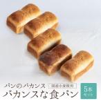 パンのバカンス バカンスな食パン5本セット