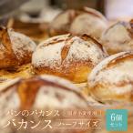 パンのバカンス バカンス ハーフサイズ 6個セット