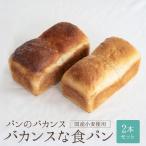 パンのバカンス バカンスな食パン2本セット