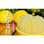 土佐文旦 20kg