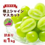 シャインマスカット ふくぷる 粒1.0kg