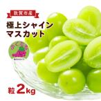 シャインマスカット ふくぷる 粒2.0kg
