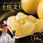 文旦 10kg