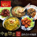 中華総菜5種5品詰合せ 中華料理 チャイナノーヴァ