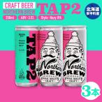 クラフトビール 250ml