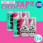 クラフトビール NORTHERN BREW 250ml