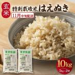 SB1139 令和8年産 特別栽培米 はえぬき 10kg