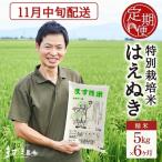SF0407 令和8年産 特別栽培米 はえぬき 5kg×6回