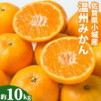 みかん 10kg