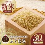 ふるさと納税 令和8年度 新米 ふくまる 玄米 30kg  | 新米 お米 ふくまる 米 茨城県ひたちなか市