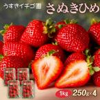 いちご 苺 さぬきひめ 約1kg