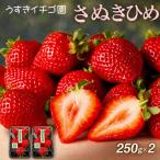 いちご 苺 さぬきひめ 約500g