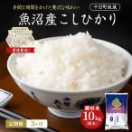 新米 令和8年産 魚沼産こしひかり 棚田米