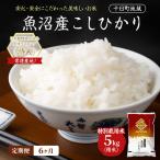 新米 令和8年産 特別栽培米 魚沼産こしひかり