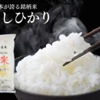 令和8年 新米 無洗米 コシヒカリ 5kg