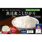 魚沼産こしひかり 十日町地域 精米 10kg