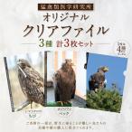 猛禽類医学研究所オリジナルクリアファイル