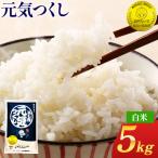 令和7年産 金のめし丸元気つくし精米5kg