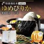 ゆめぴりか 精白米 真空パック 約10kg
