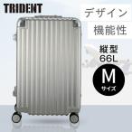 キャリーケース トライデント シルバー TRI1030-60