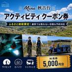 体験チケット Mine 秋吉台 アクティビティ