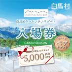 岩岳マウンテンリゾート入場券 大人2名様分+金券10000円分