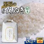 全6回定期便 至福のはえぬき 5kg