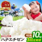 定期便 ハナエチゼン 精米 10kg