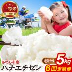 定期便 ハナエチゼン 精米 5kg