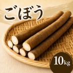 ごぼう 約10kg