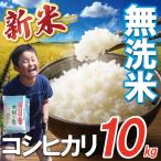 コシヒカリ 無洗米 10kg