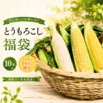 2026年11月~ 南国フルーツコーン福袋 10本