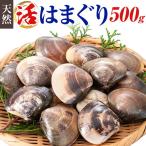 天然 活 はまぐり 500g