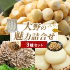 里芋 洗い子 九頭竜まいたけ たんちょうもち