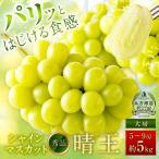 シャインマスカット 晴王 秀品 大房 5 9房 約5kg