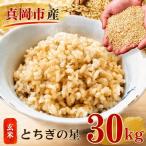 とちぎの星 玄米 30kg
