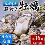 殻付き牡蠣 生食用 冷凍 36個