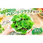 ベビーリーフサラダセット 300g