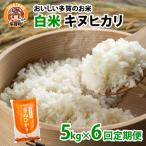 BG 無洗米 みずかがみ 5kg