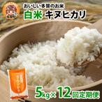 キヌヒカリ5kg×12回 おいしい多賀のお米